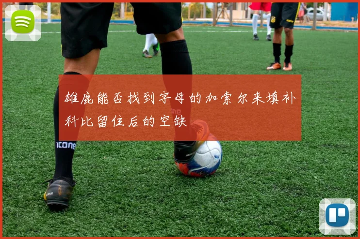雄鹿能否找到字母的加索尔来填补科比留住后的空缺