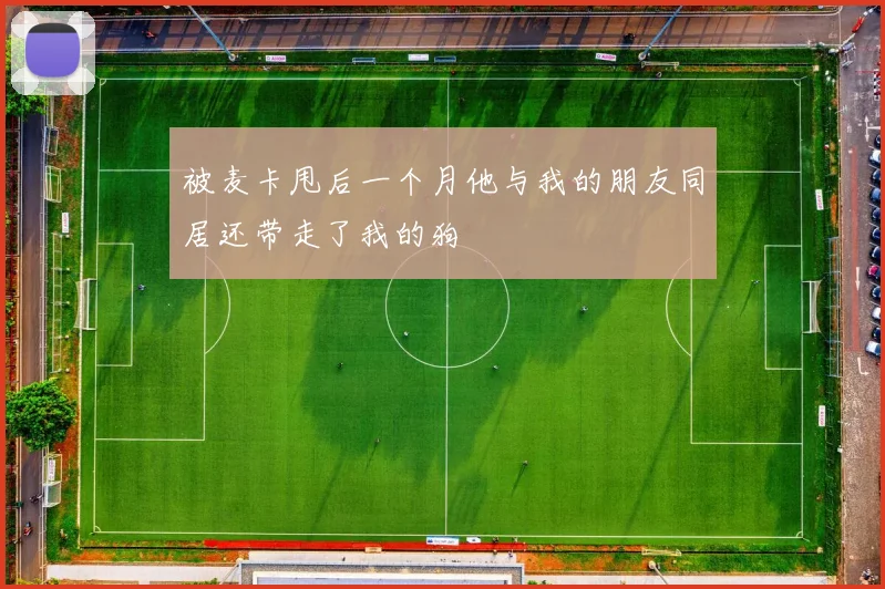 被麦卡甩后一个月他与我的朋友同居还带走了我的狗