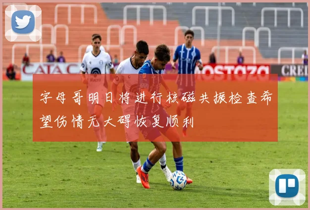 字母哥明日将进行核磁共振检查希望伤情无大碍恢复顺利