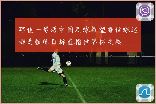 邵佳一寄语中国足球希望每位球迷都是教练目标直指世界杯之路